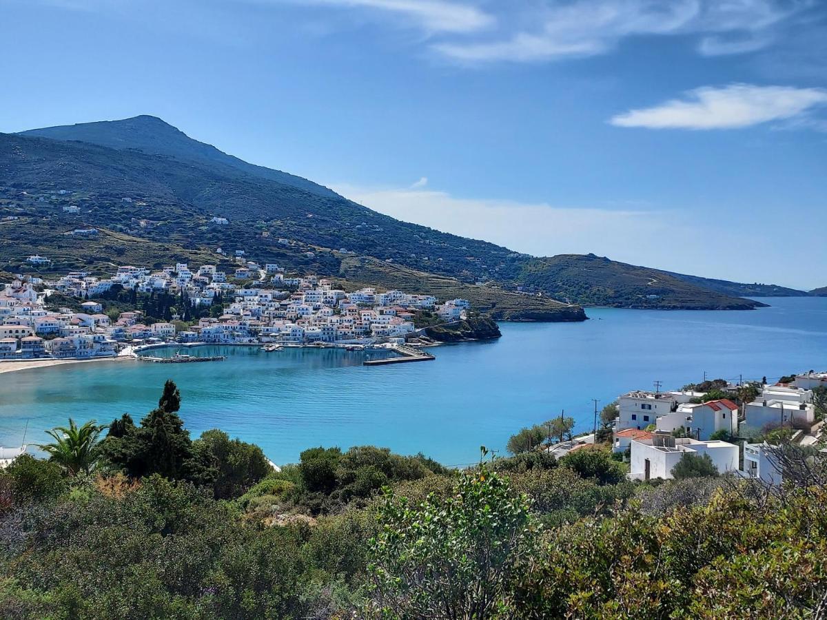 Villa Arni Andros - Βίλα Αρνη Баци Екстериор снимка