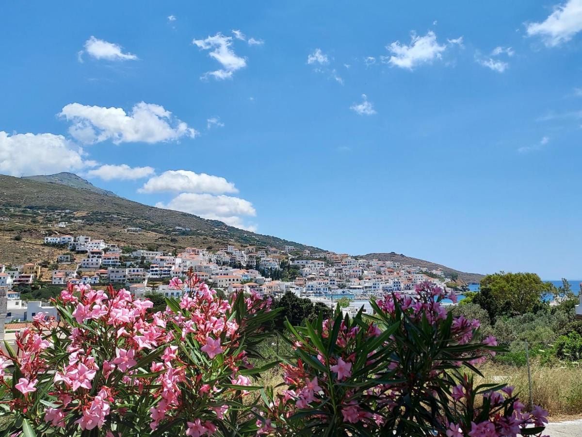 Villa Arni Andros - Βίλα Αρνη Баци Екстериор снимка