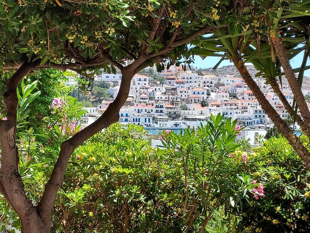 Villa Arni Andros - Βίλα Αρνη Баци Екстериор снимка