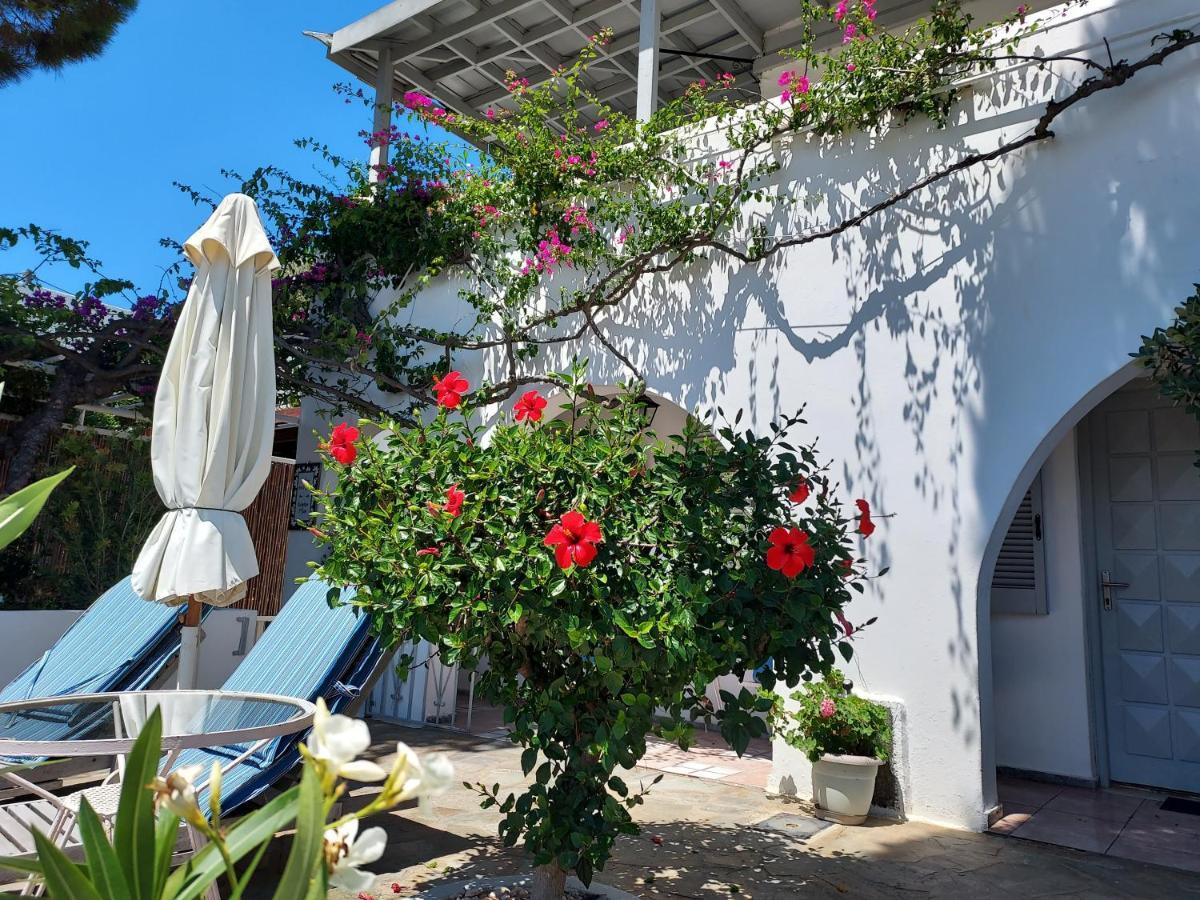 Villa Arni Andros - Βίλα Αρνη Баци Екстериор снимка