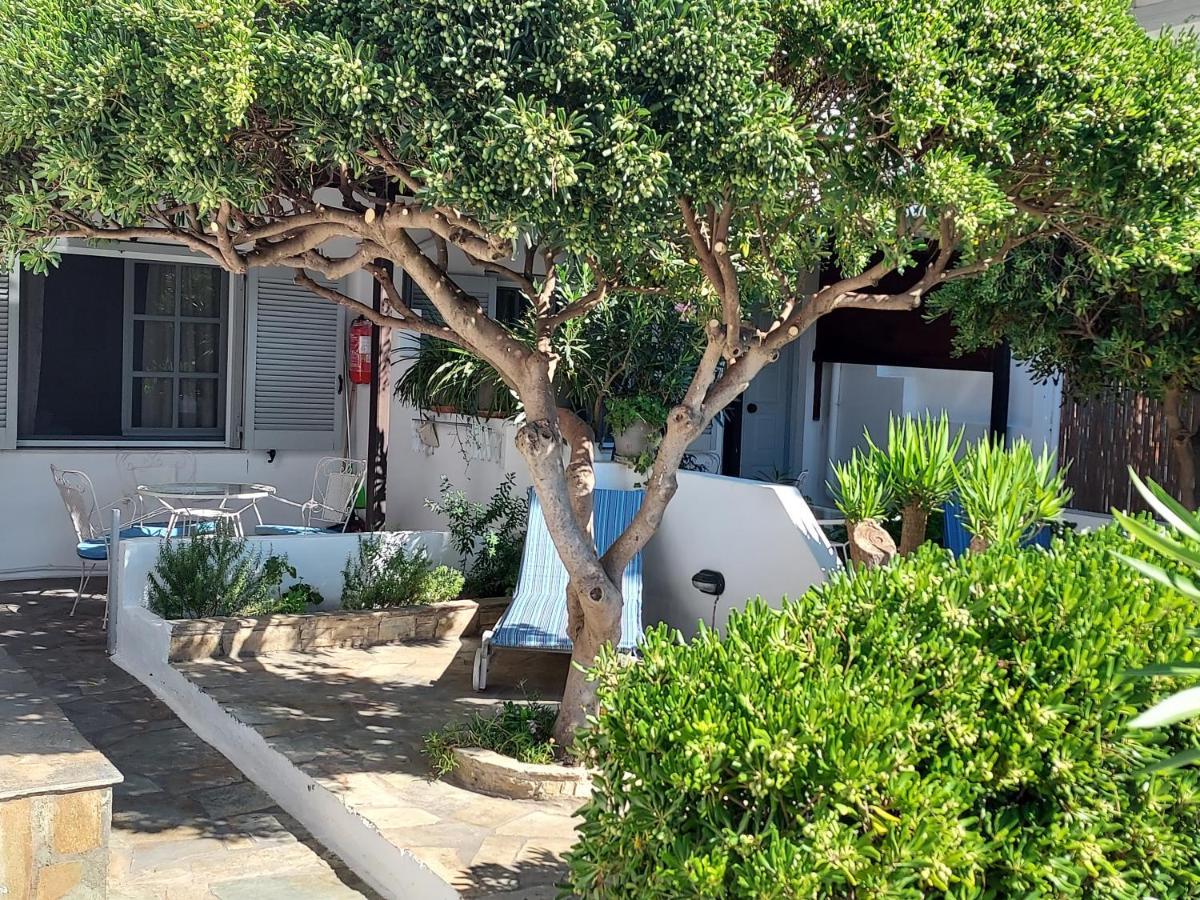 Villa Arni Andros - Βίλα Αρνη Баци Екстериор снимка