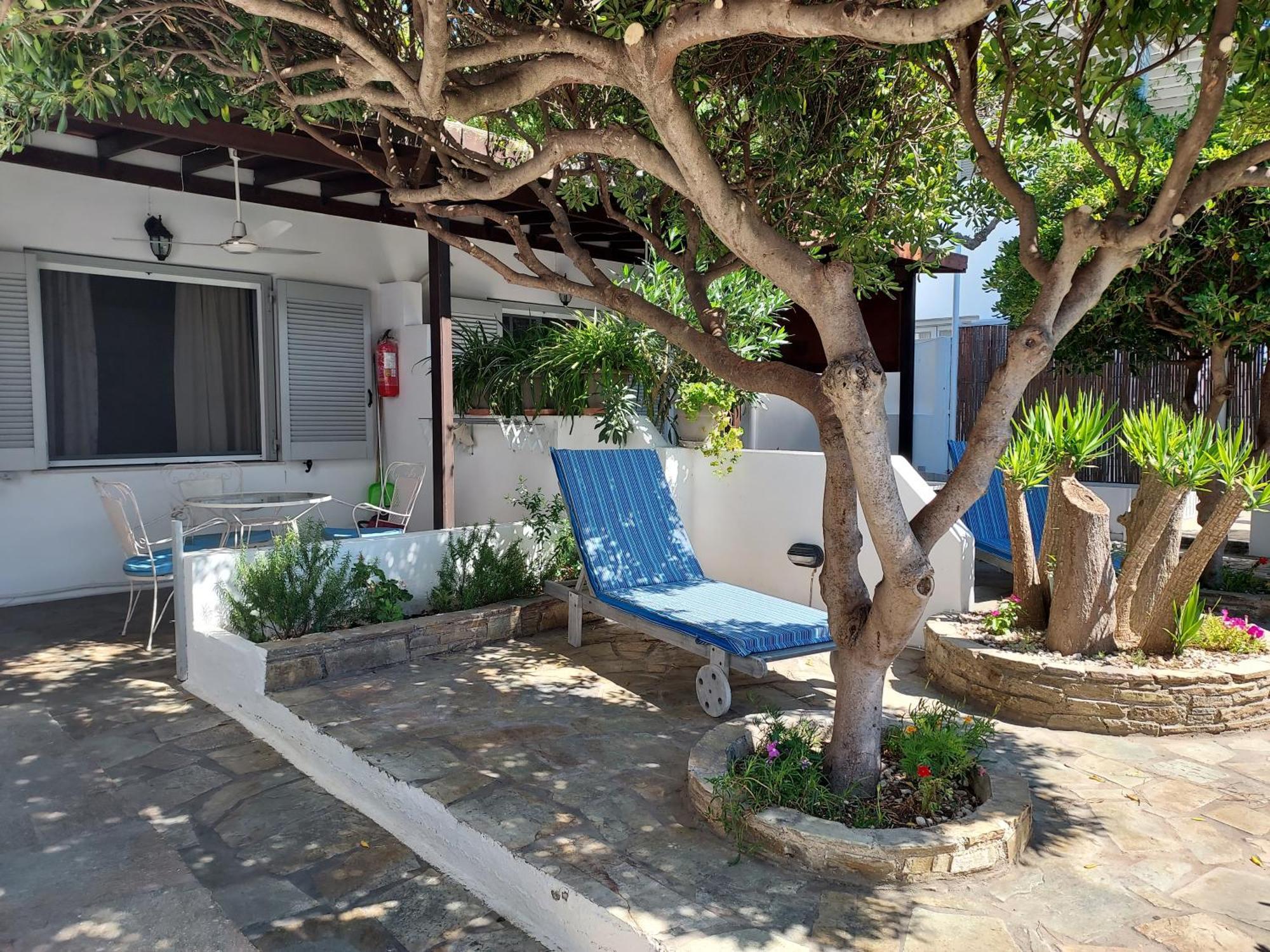 Villa Arni Andros - Βίλα Αρνη Баци Стая снимка