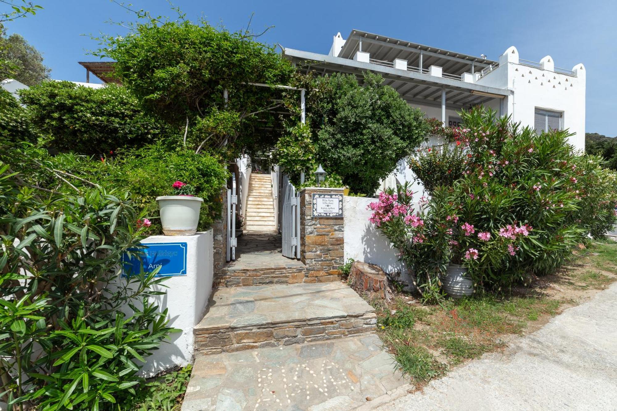 Villa Arni Andros - Βίλα Αρνη Баци Екстериор снимка