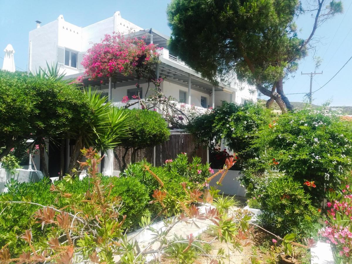 Villa Arni Andros - Βίλα Αρνη Баци Екстериор снимка